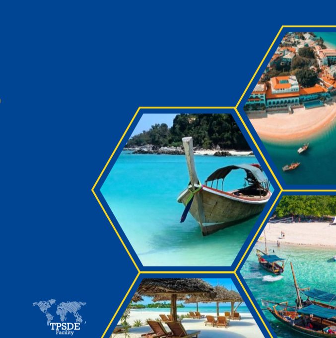 European Investment in Zanzibar Report