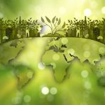 The Linkages between Anti-Deforestation with Trade and Investment and Policy Implications for G20 Countries