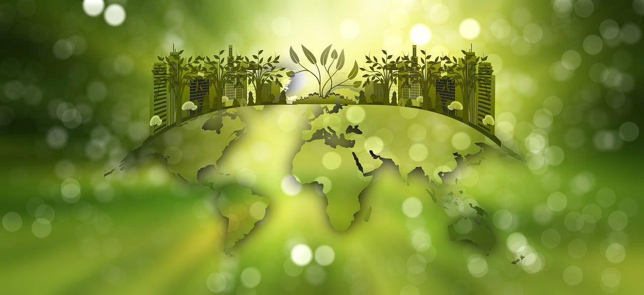 The Linkages between Anti-Deforestation with Trade and Investment and Policy Implications for G20 Countries